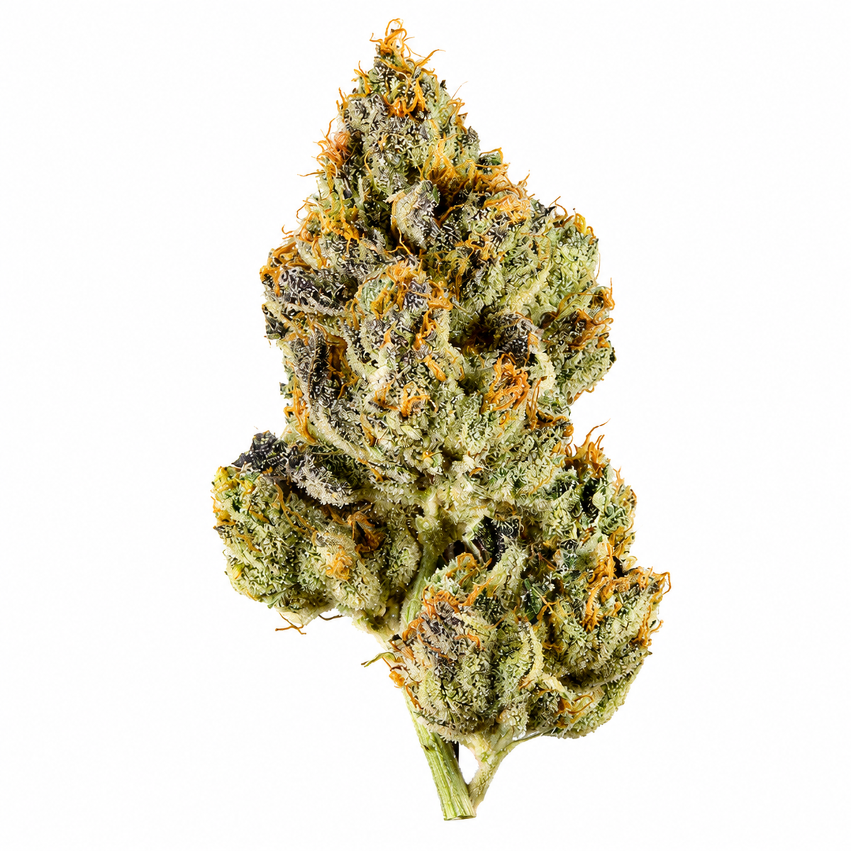 Fleur Skunk CSA 20 %