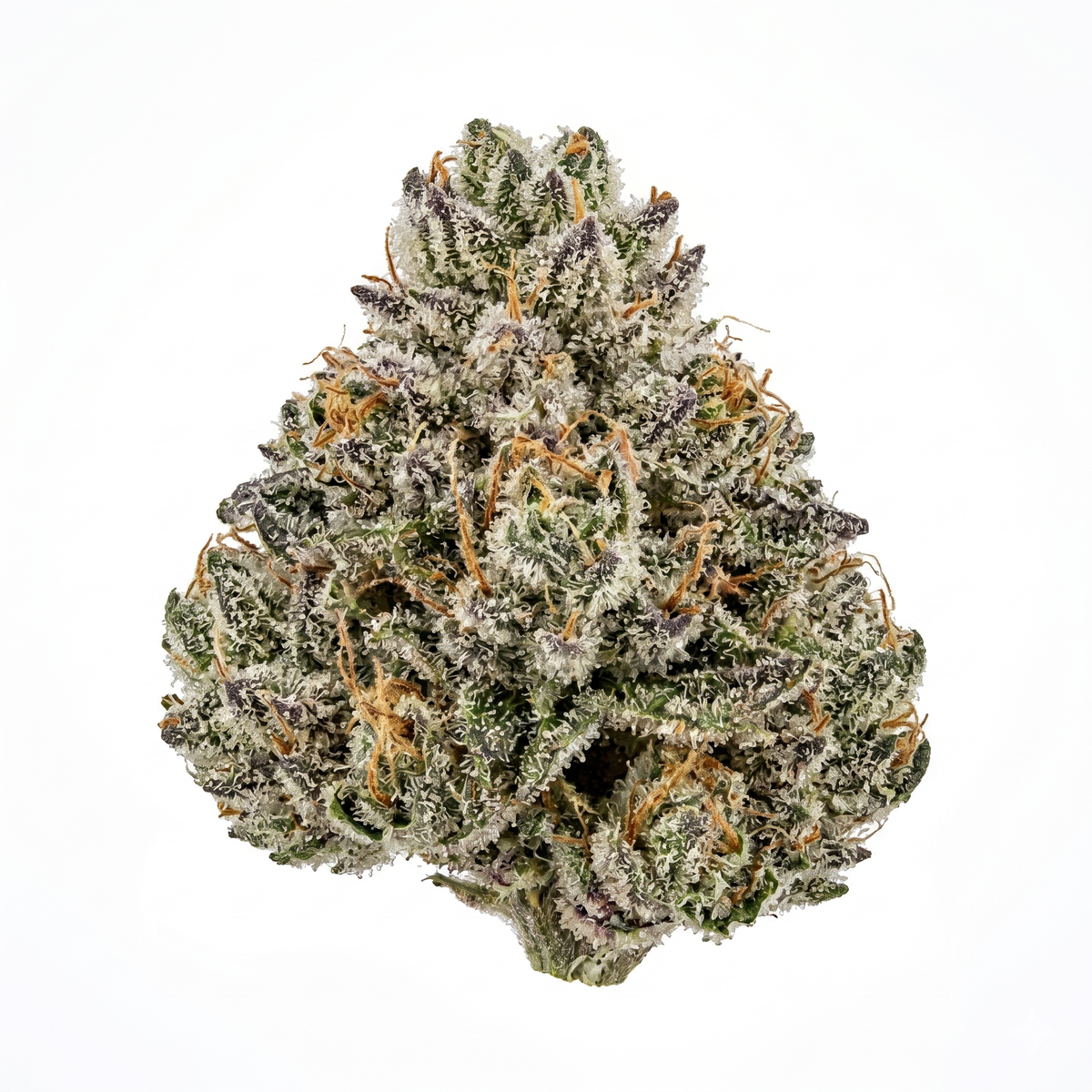 Fleur CBD Candy Kush Californienne 16 %