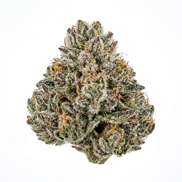 Fleur CBD Candy Kush Californienne 16 %