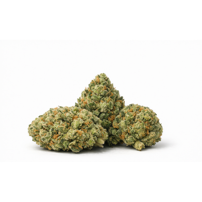 Fleur 20% CSA " Strawberry CSA" : trois têtes de fleur CBD tricolores aux notes fruitées, disponible en collection Get High et Nos promos.