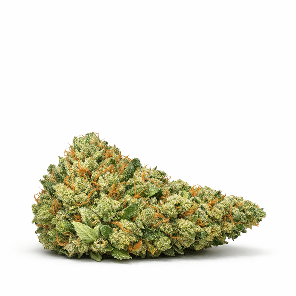Fleur CBD+ 50% "Amnesia", bourgeon vert dense avec pistils orange, disponible dans Nos promos et Sélections de la Semaine.