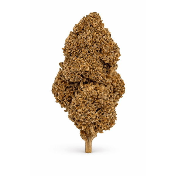 Fleur CBD "Harlequin" séchée en gros plan, disponible en collections CBD Naturel, Fleurs CBD, Nos promos, Nos Petits Prix et Nos Fleurs Classiques.