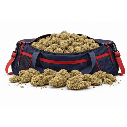 Fleur CBD "Harlequin California" en vrac dans un sac bleu, issue de la collection CBD Naturel, Fleurs CBD, Nos promos.