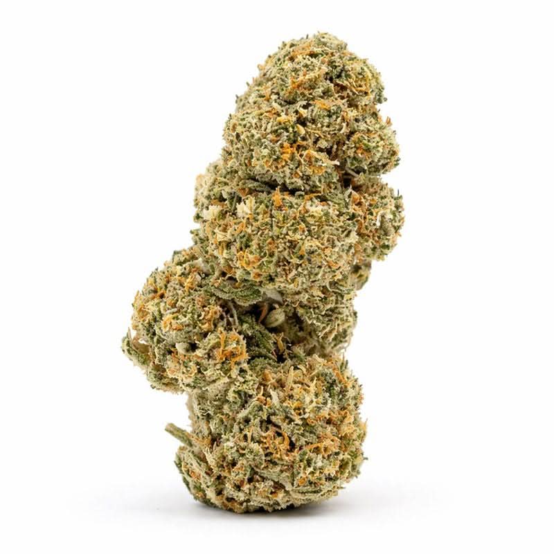 Fleur CBD "Lemongrass " nuances citronnées et fraîcheur lemon, idéale pour amateurs de CBD naturel et bouquets terpènes agrumes.