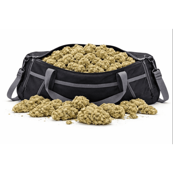 Sac de sport rempli de Fleur CBD "Lemongrass" aux notes citronnées, dans la collection CBD Naturel et Nos Fleurs Classiques.