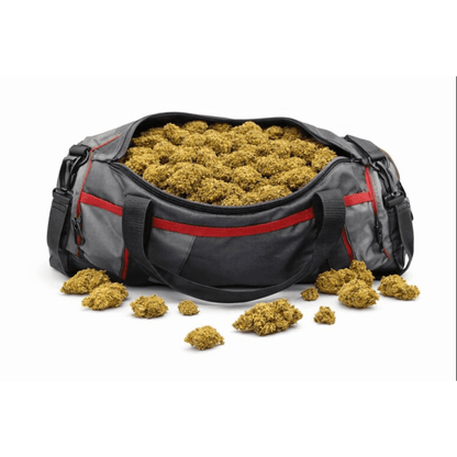 Sac de sport rempli de Fleur CBD - Tangie tonic, variété aux saveurs tangerine issue de collections CBD Naturel et Fleurs CBD.