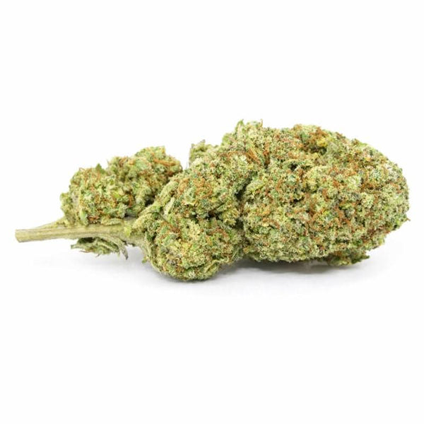 Fleur CBD – White widow, une fleur claire aux reflets blancs, idéale de la collection CBD Naturel et Fleurs CBD, Nos Petits Prix.