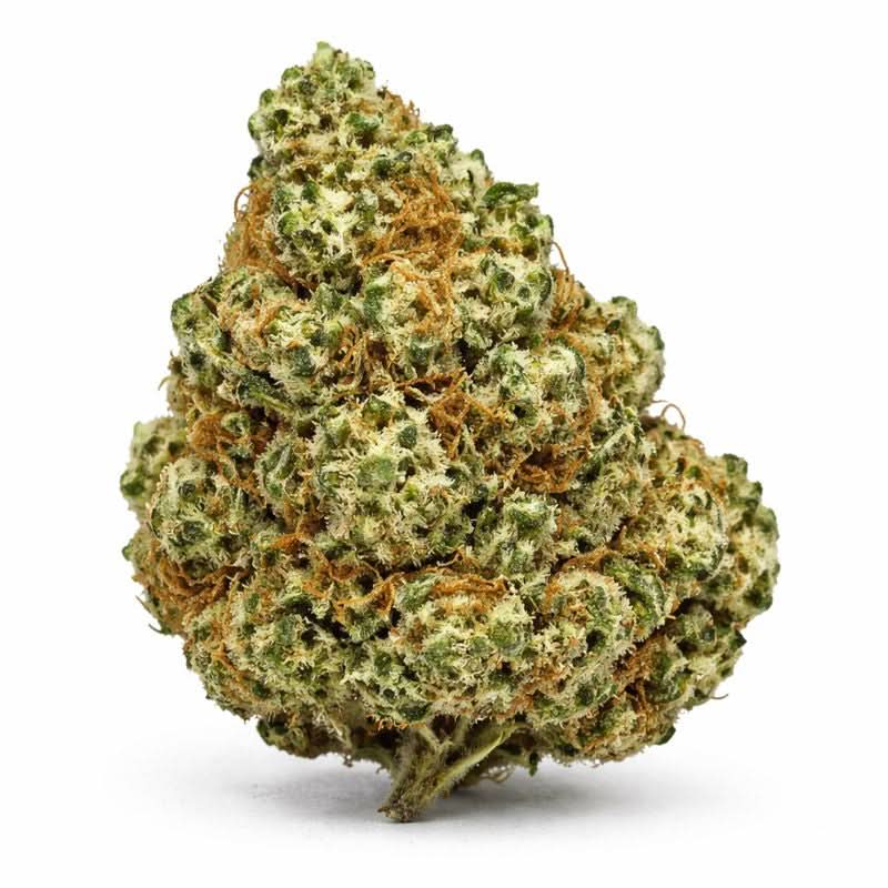 Fleur CBD Amnesia Californienne — photo 1