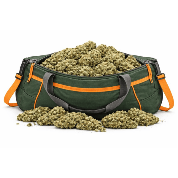 Sac vert débordant de Fleur CBD "Amnesia Californienne", sélection de qualité CBD Naturel et Fleurs CBD à prix acces.