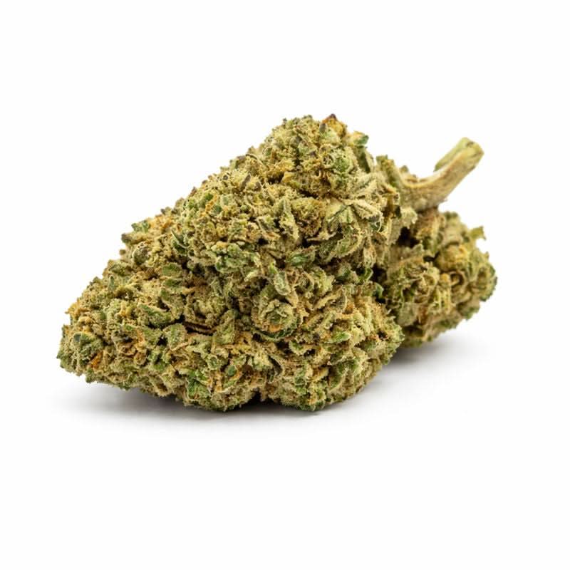 Fleur Buddha Fruit THV — photo 3