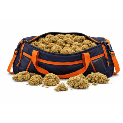 Fleur CBD "Orange Bud" dans un sac de sport bleu et orange, issue de collections CBD Naturel, Fleurs CBD, Nos promos, Nos Petits Prix, Nos Fleurs Classiques.
