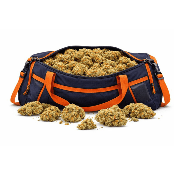 Fleur CBD "Orange Bud" dans un sac de sport bleu et orange, issue de collections CBD Naturel, Fleurs CBD, Nos promos, Nos Petits Prix, Nos Fleurs Classiques.