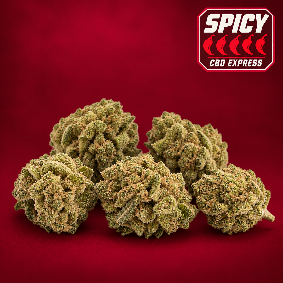 Limoncello Popcorn : petites têtes de fleur CBD sur fond bordeaux, badge Spicy 5 piments sur 5.
