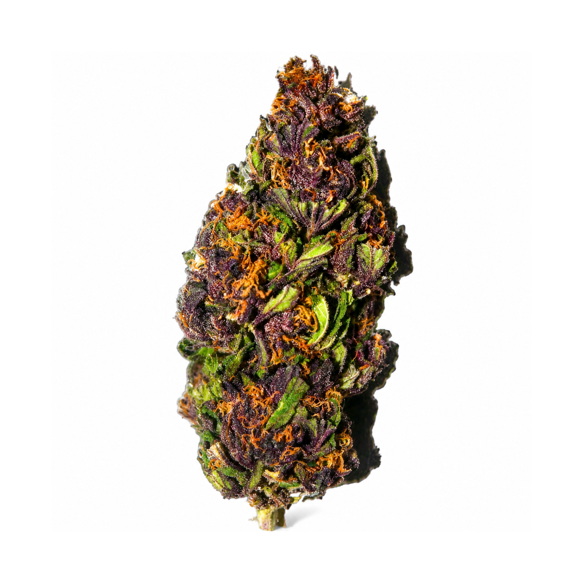Fleur Purple Haze CSA 20 %