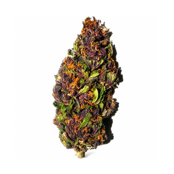 Fleur Purple Haze CSA 20 %