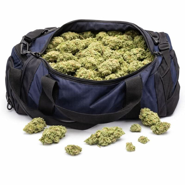 Sac de sport rempli de Fleur CBD – White widow aux reflets clairs vendu en collection CBD Naturel, Fleurs CBD, Nos Petits Prix